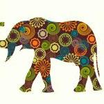 Elephant Wall Decals with circle an..